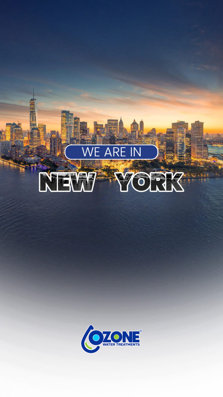 new york (1)