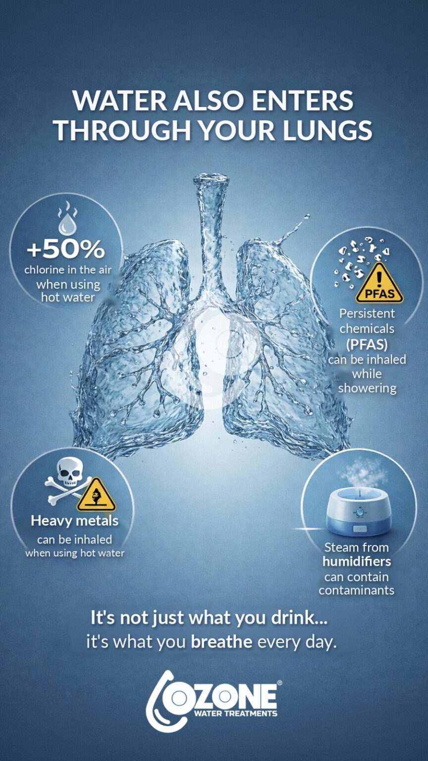 Ozone_lungs_EN